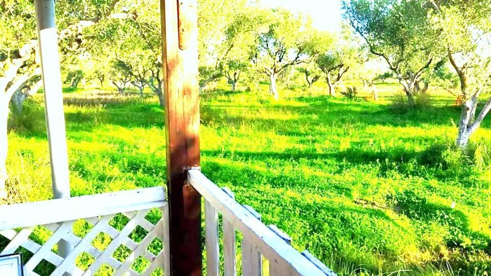 Casa Katina , Villa In Lagana, Agrilia Area Laganas Eksteriør billede