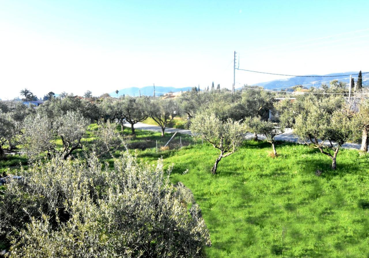 Casa Katina , Villa In Lagana, Agrilia Area Laganas Eksteriør billede